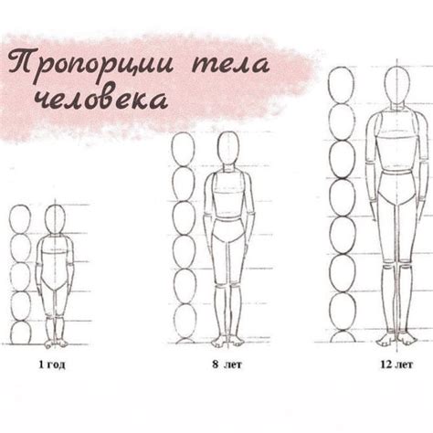 Раздел 1: Создание гармонических пропорций между верхней и нижней частью тела