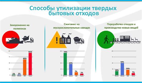 Раздел 8: Эффективные способы хранения и использования отходов облепихи