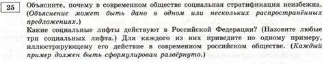 Различия в питательных потребностях собак и людей: факторы, которые стоит учесть