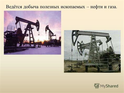 Различия в природе и составе естественных ископаемых: нефти и газа