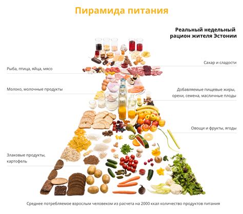 Различия в содержании питательных веществ и влиянии на организм