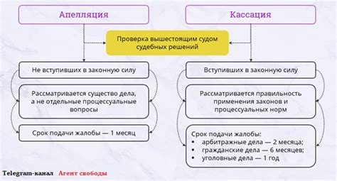 Различия между апелляцией и кассацией в судебном процессе