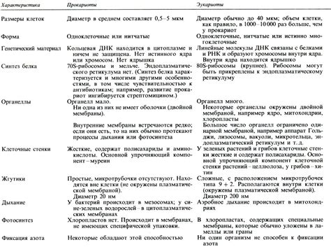 Различия между пакетным и интерактивным режимами: сравнение и характеристики