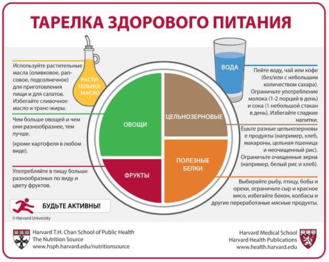 Разновидности нутриентов и их важность для здорового рациона питания