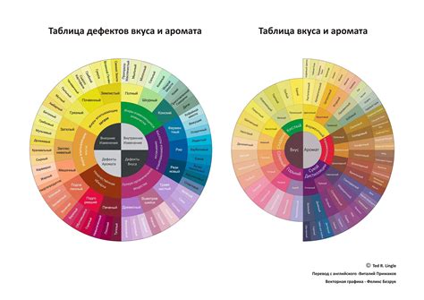 Разнообразие вкусов и ароматов: наслаждение душой и вибрация сюжета