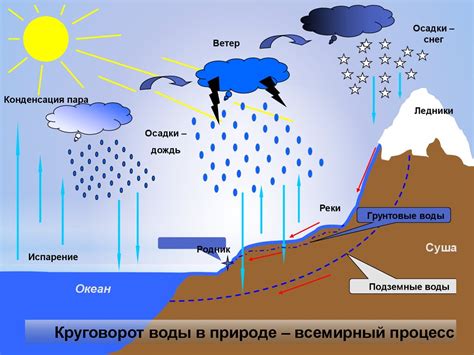 Разнообразие в форме и свойствах веществ в природе