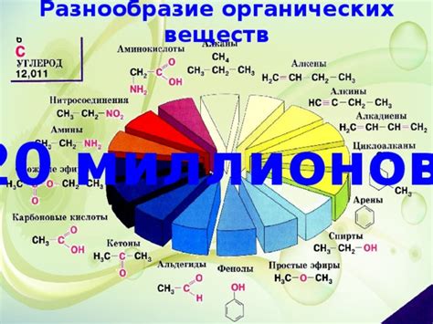 Разнообразие источников органических веществ