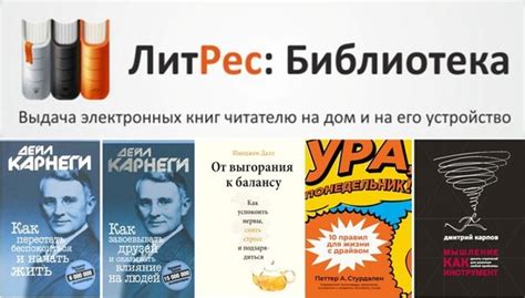 Разнообразие категорий и жанров книг на платформе ЛитРес: подробное рассмотрение