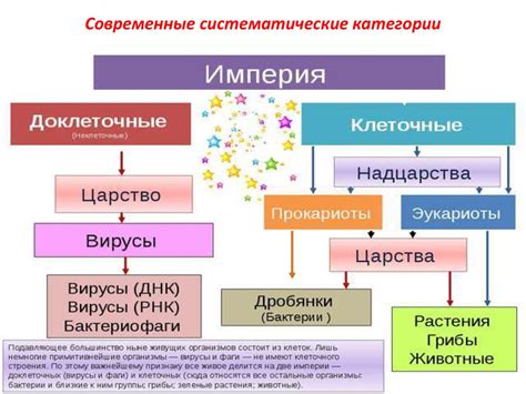 Разнообразие классов превосходных вариантов их уникальные свойства