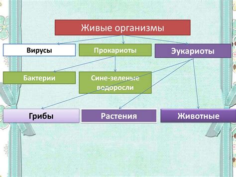 Разнообразие местоимений и их классификация