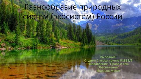 Разнообразие природных ландшафтов и уникальность экосистем Сибири