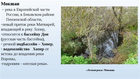 Разнообразие природных условий в районе впадения Миссури в реку