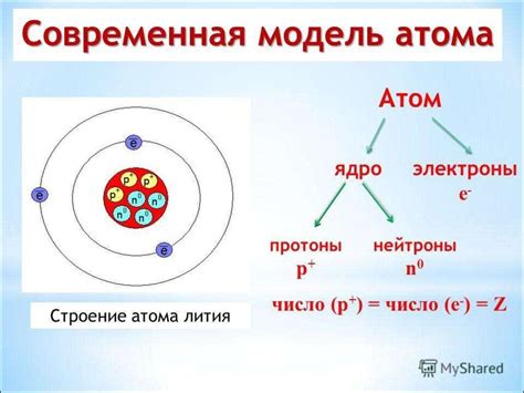 Разнообразие составляющих элементов в физике организма