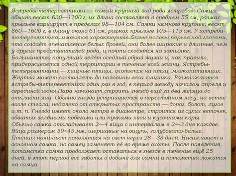 Разнообразие сохранений: знакомство с их различными видами и уникальными особенностями