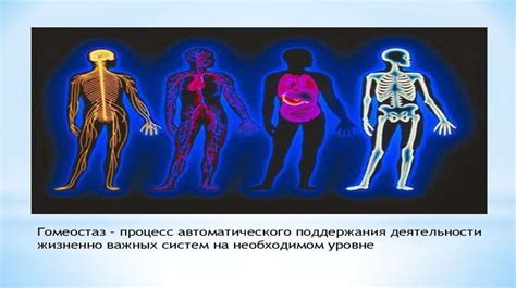 Разнообразие типов фолиантов и их особенности