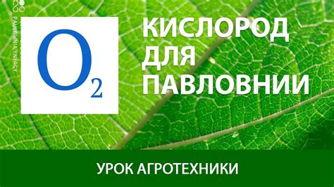 Разнообразные методики для обогащения кислородом: преимущества и ограничения