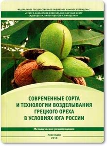 Разнообразные сорта и особенности возделывания каштанов