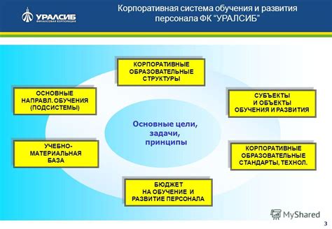 Разработка программы обучения и развития: планирование пути успеха