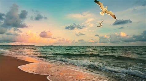 Райские побережья для полного релакса и активного отдыха на воде