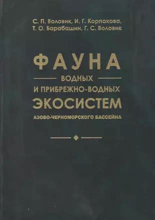 Рай для пернатых и водных обитателей: фауна водотока и ее важность для экосистемы