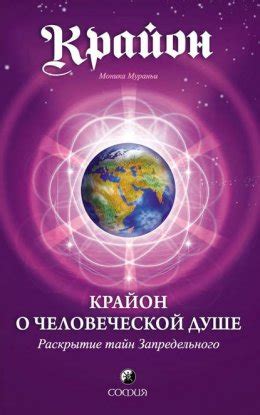 Раскрытие тайн о локализации богатых ресурсов древесины на оранжевой карте сокровищ