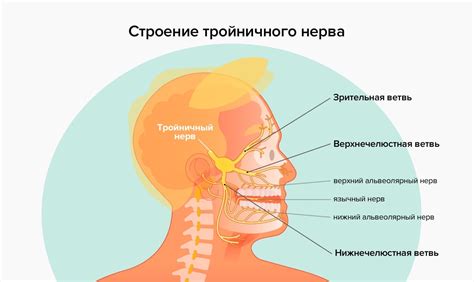 Распознавание воспаления в нерве пятого черепного нерва в области лица