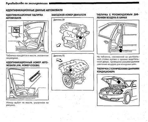 Расположение и значение идентификационного номера авто на Toyota Camry (Поколение 50)