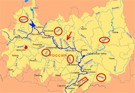 Расположение половоза около реки