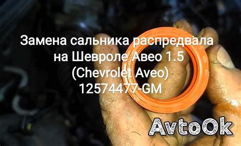 Расположение распредвала на автомобиле Chevrolet Aveo: обзор и данные