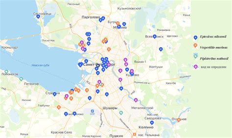 Распределение летучих мышей по территории в зависимости от климатических особенностей