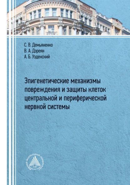 Распределение нервных клеток в периферической системе организма человека