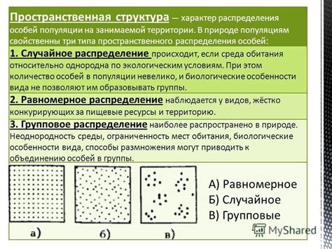 Распределение популяции чурок в географических районах РФ