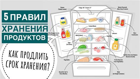 Распределение продуктов внутри холодильника для оптимального сохранения и удобного доступа