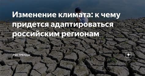 Распространение ботанического феномена по Российским регионам