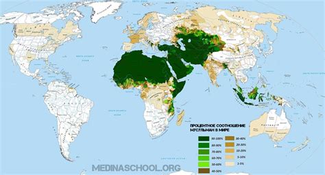 Распространение грецкого ореха по миру: ключевые регионы и страны-производители