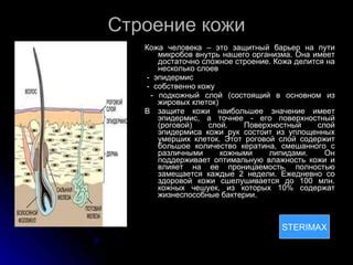 Распространение и влияние кератина на структуру организма человека