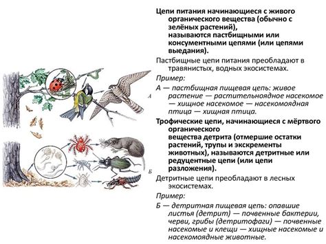 Распространение опасных веществ в природных водных экосистемах