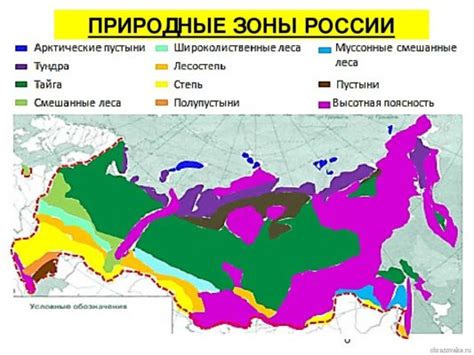 Распространение песца в различных природных регионах РФ