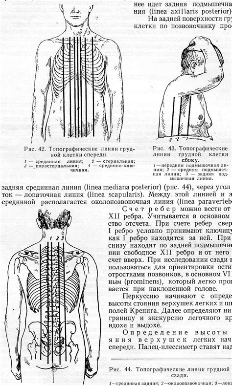 Распространенность и разнообразие патогенов, заселяющих поверхность тела человека