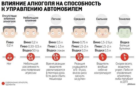 Распространенные мифы о влиянии алкоголя на способность управлять автомобилем