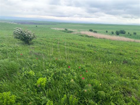 Рассказ о скрытых и малоизвестных уголках природы, которые автентично сочетаются с величием океана