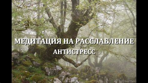 Расслабление и снятие накопившегося напряжения: важность фут массажа для усталых мужчин