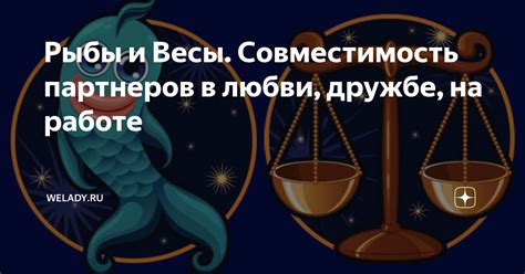 Рассматриваем явление эмпатии внутри пар "рыбы-рыбы" и "весы-весы"