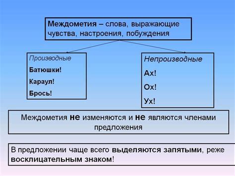 Рассмотрение существительных и их морфологических характеристик