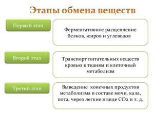 Расстройства, связанные с дисбалансом центра энергии в организме