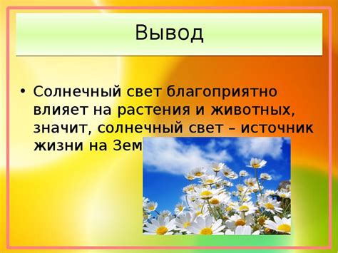 Растения, соседство которых благоприятно влияет на развитие тюльпанов с разнообразными оттенками