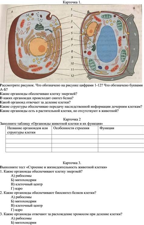 Растительная и животная флора Каменной реки