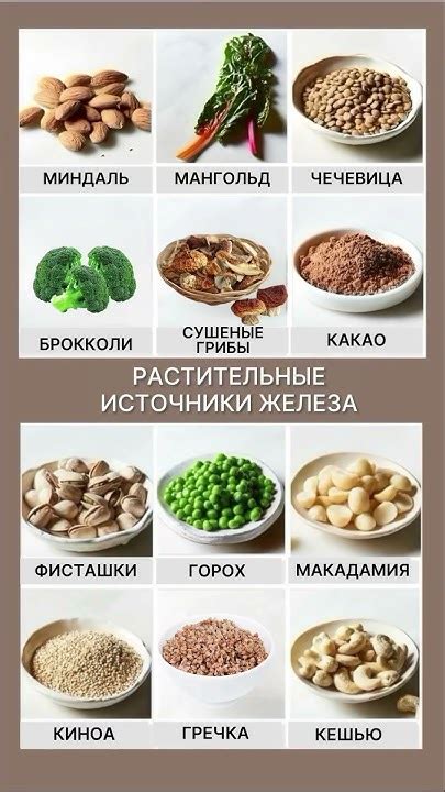 Растительные источники железа