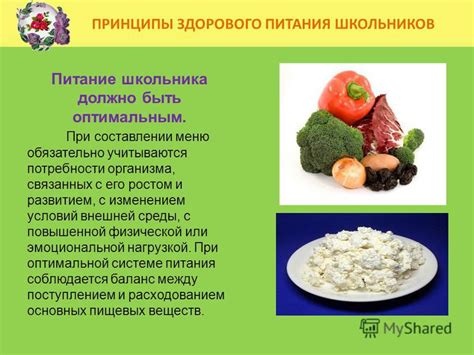 Растительные продукты: источники питательных веществ для полноценного питания в период экадаши