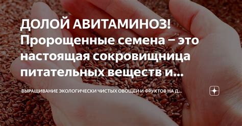 Расторопша - сокровищница ценных питательных элементов